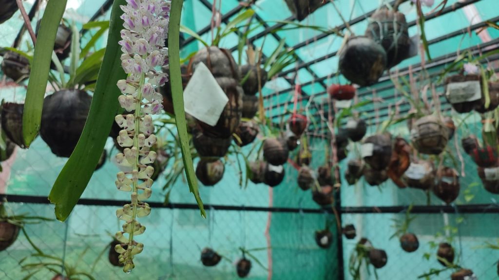 Orchidarium
