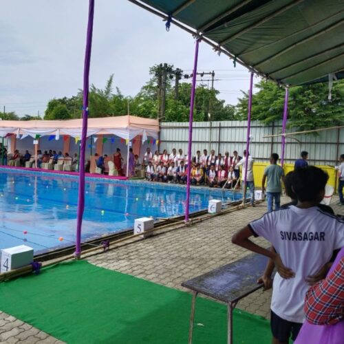 Swimming Pool (2)