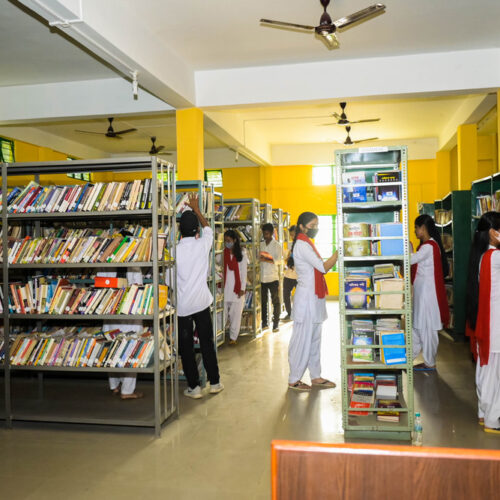 Library (2)
